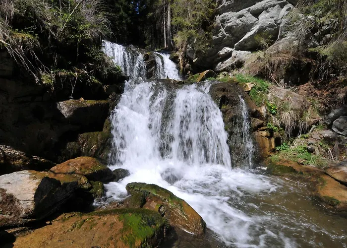 林登霍夫酒店 招待所